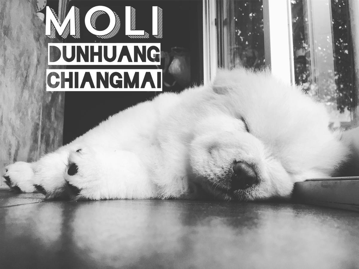 Chiangmai Moli Inn (Adults Only) Chiang Mai Buitenkant foto