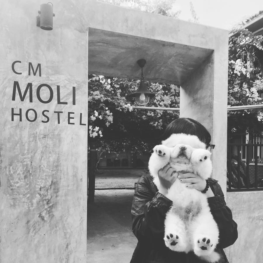 Chiangmai Moli Inn (Adults Only) Chiang Mai Buitenkant foto